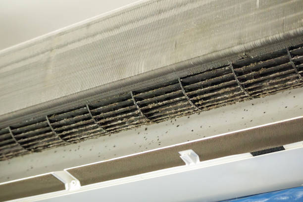 Best Best Air Duct Cleaning Company  in Tonopah, NV